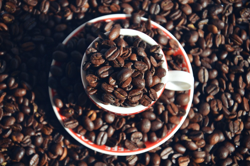 #wppcupofcoffee #wapcircles #coffee #cup